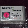 Vente: Kaliman Seeds, "Marleys Cheese", 1 x Feminised Seed.
