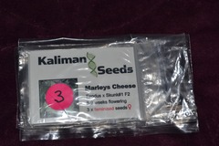 Vente: Kalimans Seeds, "Marleys Cheese", 3 x Feminised Seeds