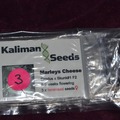 Sell: Kalimans Seeds, "Marleys Cheese", 3 x Feminised Seeds