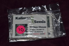 Vente: Kalimans Seeds, "Marleys Cheese", 10 x Feminised Seeds