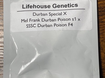 Vente: Lifehouse Durban Special X