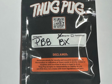 Vente: Thug Pug - Peanut Butter Breath Bx (PB Runtz x PBB)