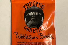 Sell: Thug Pug - Bubblegum Breath (Indian Bubblegum x Mendo Breath)