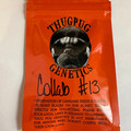 Vente: Thug Pug - GMO x Hazy Lady (Collab #13)