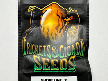 Sell: Crickets and Cicadas - Shoreline x Puck HP BC2
