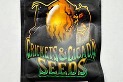 Sell: Crickets and Cicadas - Shoreline x Puck HP BC2