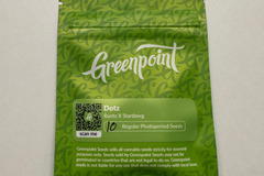 Vente: Greenpoint Seeds - D o t z (Runtz x Stardawg)