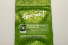 Sell: Greenpoint Seeds - Orange Blossom Special (Clementine x Stardawg)