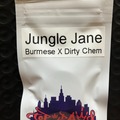 Sell: Jungle Jane from Top Dawg