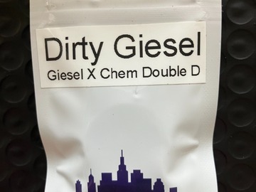 Venta: Dirty Giesel from Top Dawg