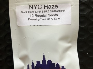 Vente: NYC Haze from Top Dawg