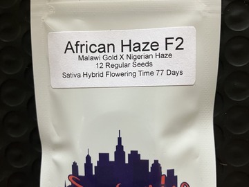 Vente: African Haze F2 from Top Dawg