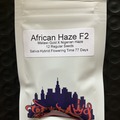 Sell: African Haze F2 from Top Dawg