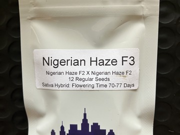 Vente: Nigerian Haze F3 from Top Dawg