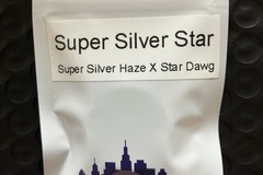 Sell: Super Silver Star from Top Dawg