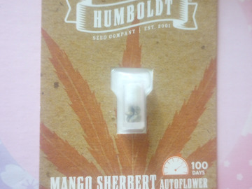 Vente: Mango Sherbet - Humblodt Seed Co.  -  Fem Auto