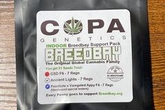 Sell: Copa BreedBay GSD Ancient Lights Frostitute  Vari Appalachia