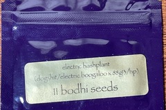 Venta: Bodhi Electric Hashplant Dogsht/Electric Boogaloo x 88g13hp