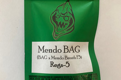 Sell: Robinhood Seeds - Mendo BAG (BAG x Mendo Breath F3