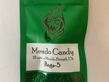 Vente: Robinhood Seeds - Mendo Candy (Runtz x Mendo Breath F3)