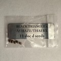 Vente: Doc D - Black Triangle x A5 Haze/Thai Bx