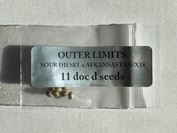 Sell: Doc D - Outer Limits (Sour D x Afkansastan x X18 Pakastani)