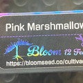 Vente: Pink Marshmallow from Bloom