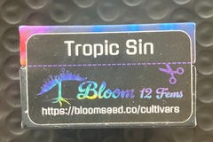 Vente: Tropic Sin from Bloom
