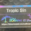 Sell: Tropic Sin from Bloom