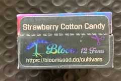 Sell: Strawberry Cotton Candy from Bloom