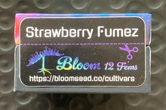 Sell: Strawberry Fumez from Bloom