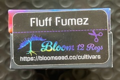 Vente: Fluff Fumez from Bloom