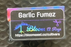 Vente: Garlic Fumez from Bloom