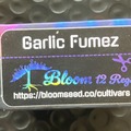 Vente: Garlic Fumez from Bloom