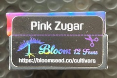 Sell: Pink Zugar from Bloom