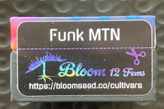Venta: Funk MTN from Bloom
