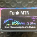 Venta: Funk MTN from Bloom