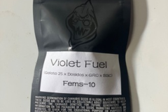Vente: Square One Genetics- Violet Fuel