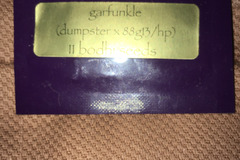 Vente: Bodhi seeds - Garfunkle