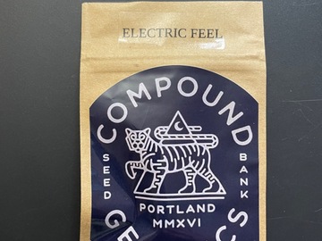 Sell: Electric Feel - Compound Genetics