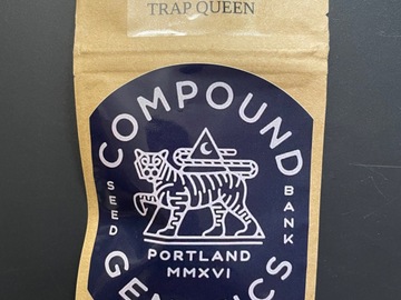 Sell: Trap Queen - Compound Genetics