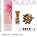 Vente: Destiny genetics - Sugar