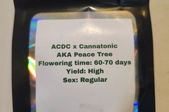 Venta: ACDC x Cannatonic - 10 Regular Seeds