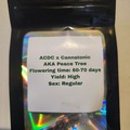 Sell: ACDC x Cannatonic - 10 Regular Seeds