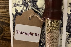 Sell: Triangle Oz from Sunken Treasure