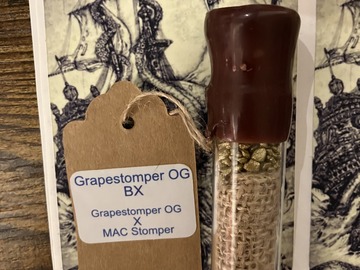 Venta: Grape Stomper OG BX from Sunken Treasure