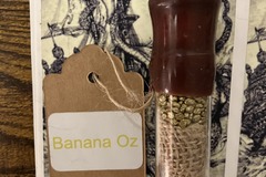 Sell: Banana Oz from Sunken Treasure
