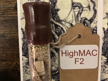 Sell: HighMAC F2 from Sunken Treasure