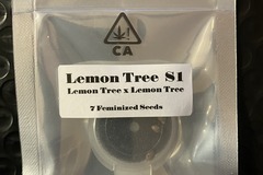 Vente: Lemon Tree S1 from CSI Humboldt