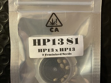 Sell: HP13 S1 from CSI Humboldt
